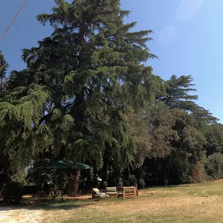 게스트하우스 Luzi, Casa Del Fattore, Piscina, Parcheggio E Giardino Passo di Treia
